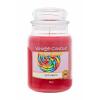 Yankee Candle Tutti-Frutti Vonná svíčka 623 g