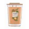 Yankee Candle Elevation Collection Tonka Bean &amp; Pumpkin Vonná svíčka 552 g