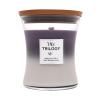 WoodWick Trilogy Amethyst Sky Vonná svíčka 275 g