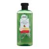 Herbal Essences Potent Aloe + Mango Colour Protect &amp; Shine Shampoo Šampon pro ženy 380 ml