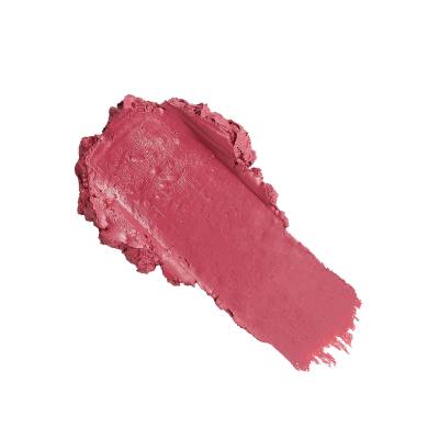 Revolution Pro New Neutral Satin Matte Lipstick Rtěnka pro ženy 3,2 g Odstín Struck