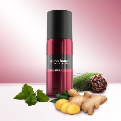 Bruno Banani Loyal Man Deodorant pro muže 150 ml