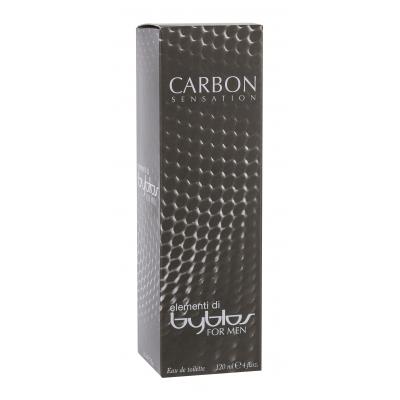 Byblos Carbon Sensation Toaletní voda pro muže 120 ml poškozená krabička