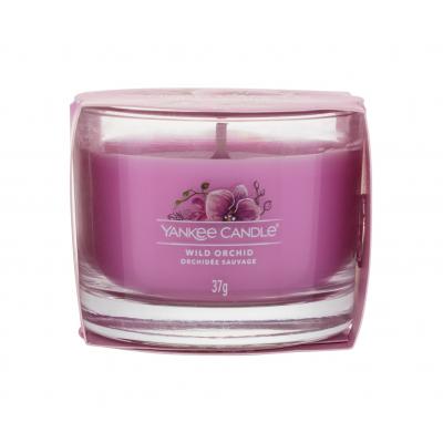 Yankee Candle Wild Orchid Vonná svíčka 37 g