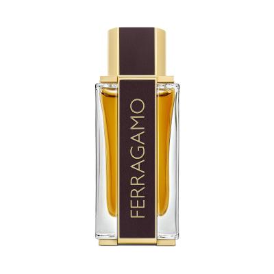 Ferragamo Ferragamo Spicy Leather Parfém pro muže 100 ml