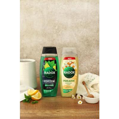 Radox Refreshment Menthol And Citrus 3-in-1 Shower Gel Sprchový gel pro muže 450 ml