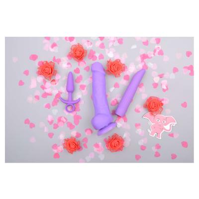 NS Novelties Inya Play Things Dildo pro ženy Set