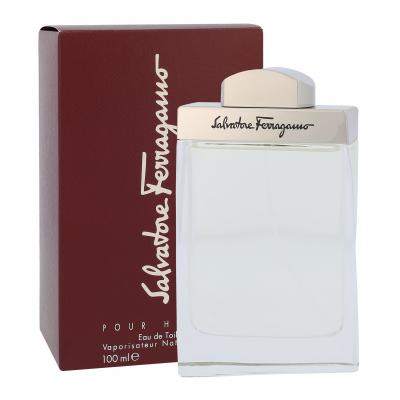 Ferragamo Pour Homme Toaletní voda pro muže 100 ml