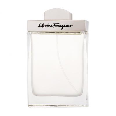 Ferragamo Pour Homme Toaletní voda pro muže 100 ml