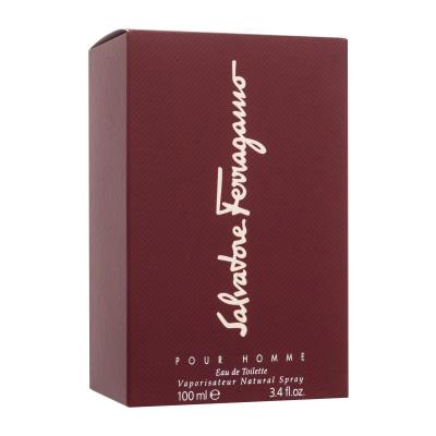 Ferragamo Pour Homme Toaletní voda pro muže 100 ml