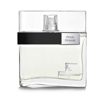 Ferragamo F by Ferragamo Toaletní voda pro muže 100 ml