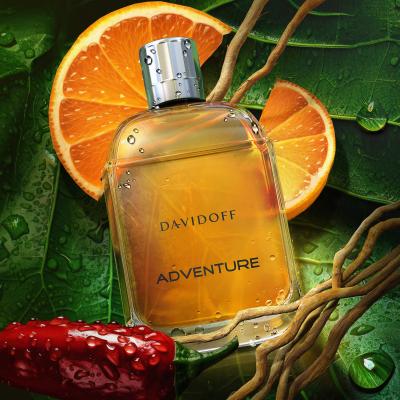 Davidoff Adventure Toaletní voda pro muže 100 ml