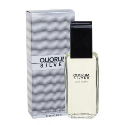 Antonio Puig Quorum Silver Toaletní voda pro muže 100 ml