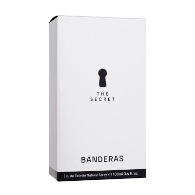 Antonio Banderas The Secret Toaletní voda pro muže 100 ml