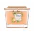 Yankee Candle Elevation Collection Tonka Bean & Pumpkin Vonná svíčka 347 g