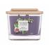 Yankee Candle Elevation Collection Fig & Clove Vonná svíčka 347 g