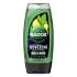 Radox Refreshment Menthol And Citrus 3-in-1 Shower Gel Sprchový gel pro muže 225 ml