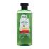 Herbal Essences Potent Aloe + Mango Colour Protect & Shine Shampoo Šampon pro ženy 380 ml