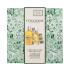 L'Occitane Almond (Amande) Body Care Gift Set Dárková kazeta sprchový olej Almond Shower Oil 250 ml + tělový olej Almond Supple Skin Oil 100 ml + krém na ruce Almond Delicious Hands 30 ml