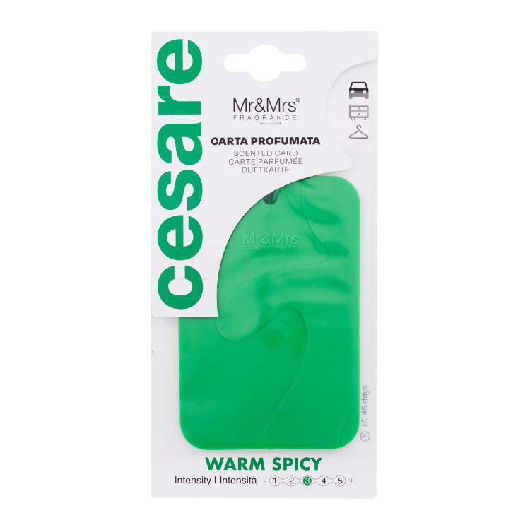 Mr&amp;Mrs Fragrance Cesare Scented Card Warm Spicy Vůně do auta 1 ks